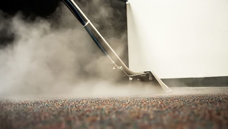 Carpet cleaner emitting thick steam while deep cleaning a textured, multicolored floor.