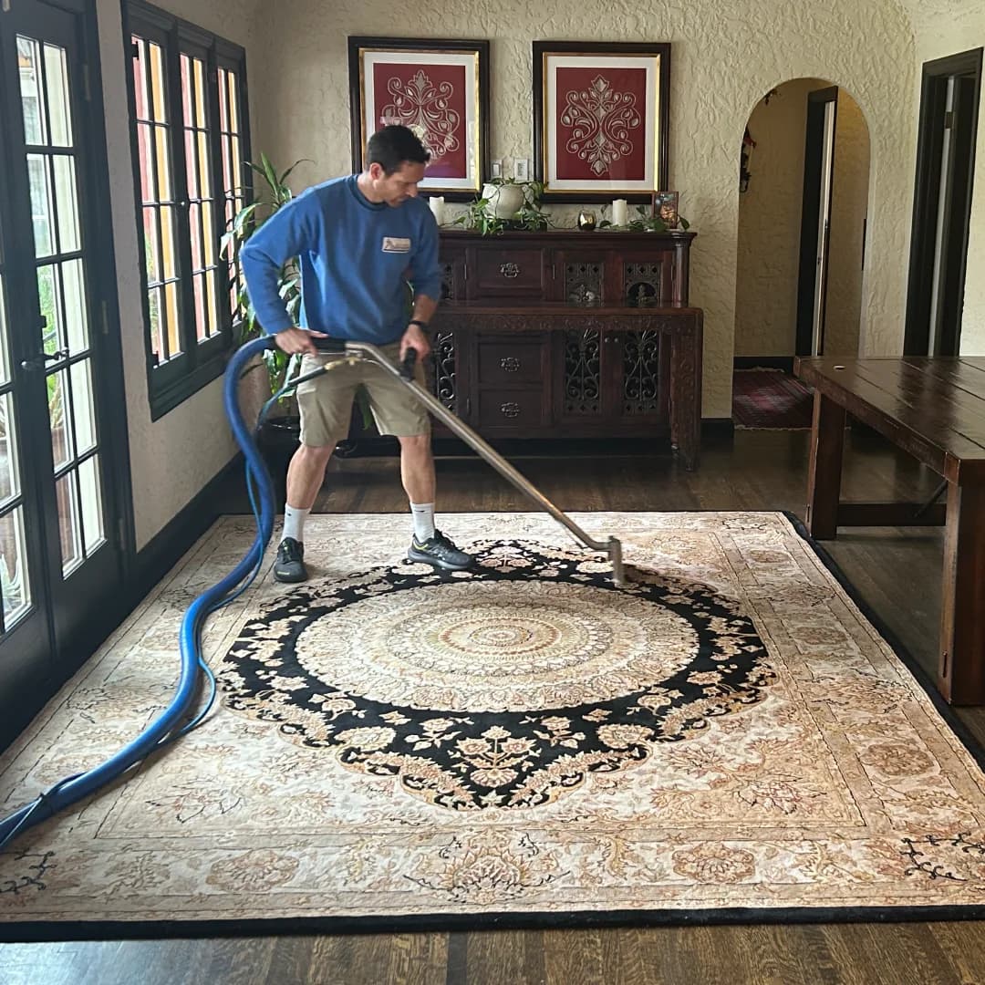 Man deep cleaning a large, intricately patterned black and gold area rug.